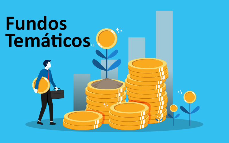 Fundos Temáticos: Por que Muitos Investidores Perdem Grande Parte dos Ganhos